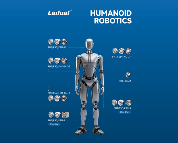 Humanoid Robot