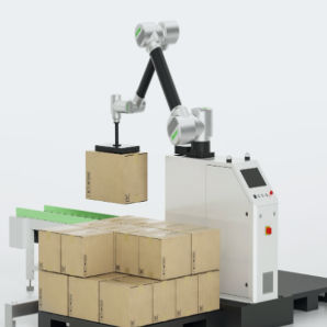 Service Robots